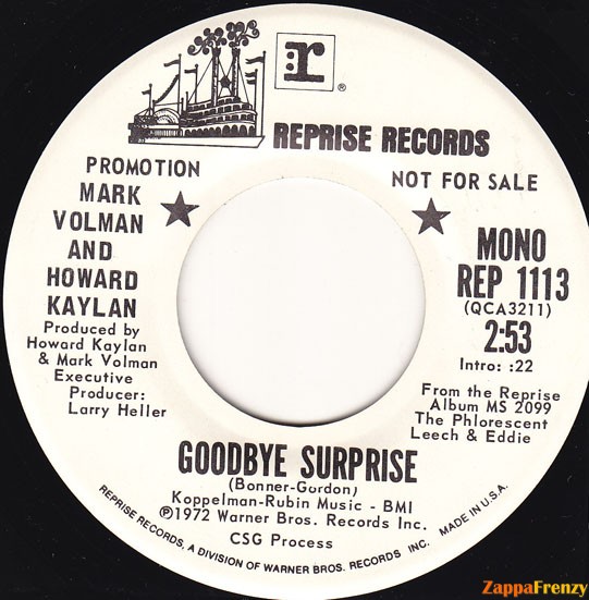 Goodbye_Surprise