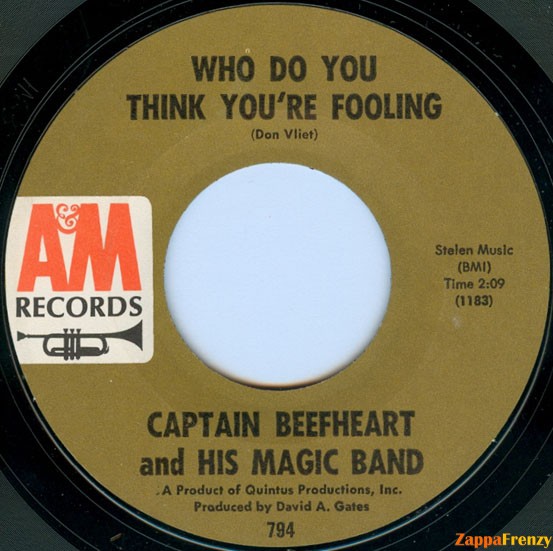 Who_Do_You_Think_You're_Fooling?